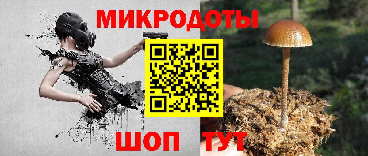 Галлюциногенные грибы ЛСД  Псилоцибиновые грибы ЛСД  Котлас  Вход с VPN 