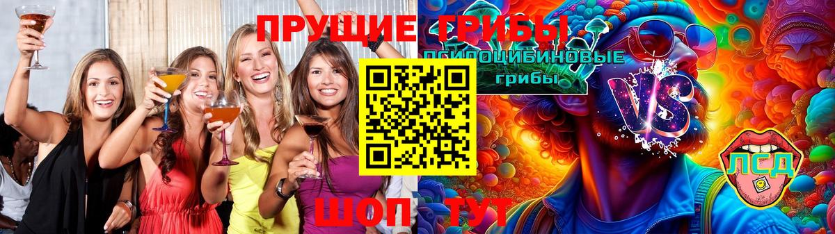 Галлюциногенные грибы Psilocybe Котлас
